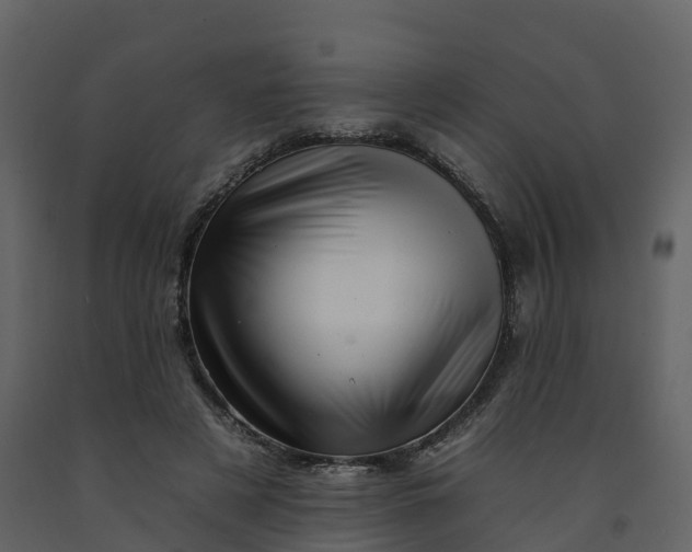 X0000092260497200710051322