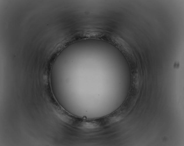 X0000092260510200710051322