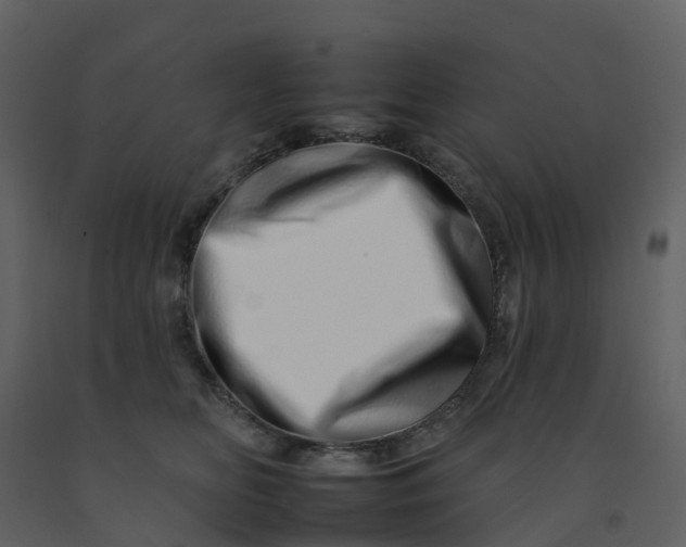 X0000092260518200710051322