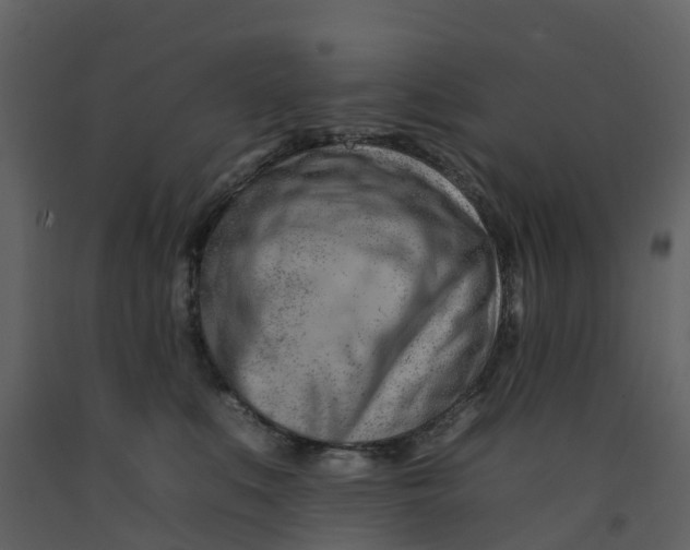 X0000092260519200710051322