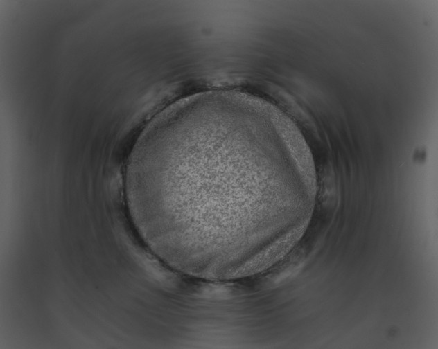 X0000092260523200710051322