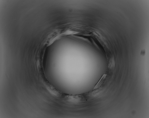 X0000092260524200710051322