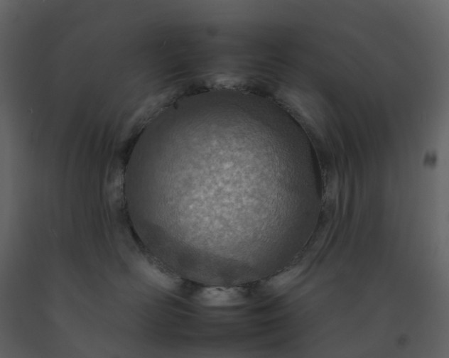 X0000092260526200710051322