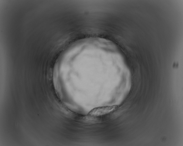 X0000092260528200710051322