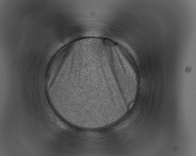 X0000092260529200710051321