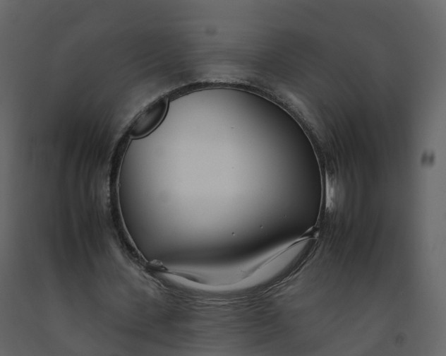 X0000092260531200710051321