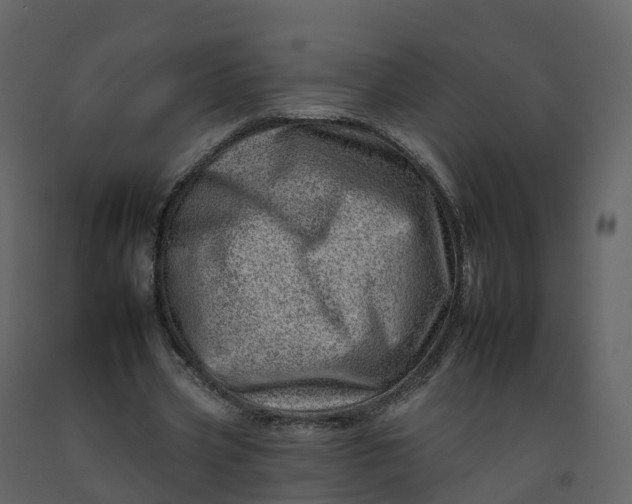 X0000092260533200710051321