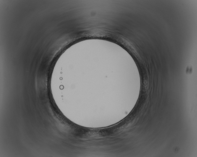 X0000092260534200710051321