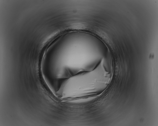 X0000092260535200710051321