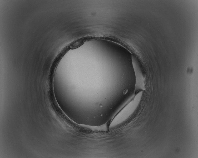 X0000092260536200710051321