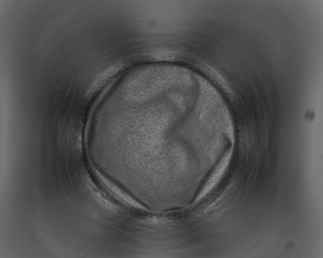 X0000092260537200710051321