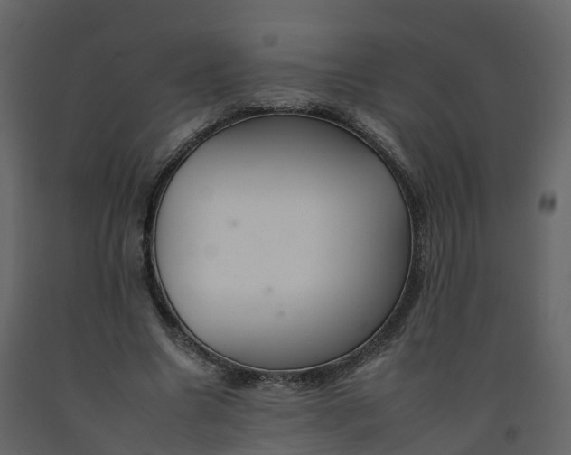 X0000092260538200710051321