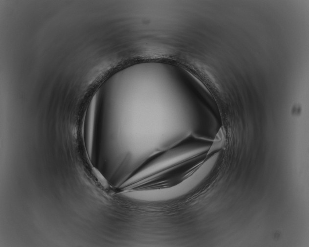 X0000092260539200710051321