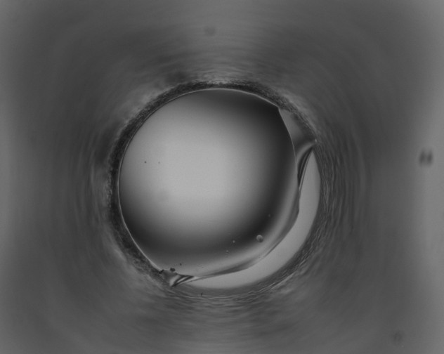 X0000092260540200710051321