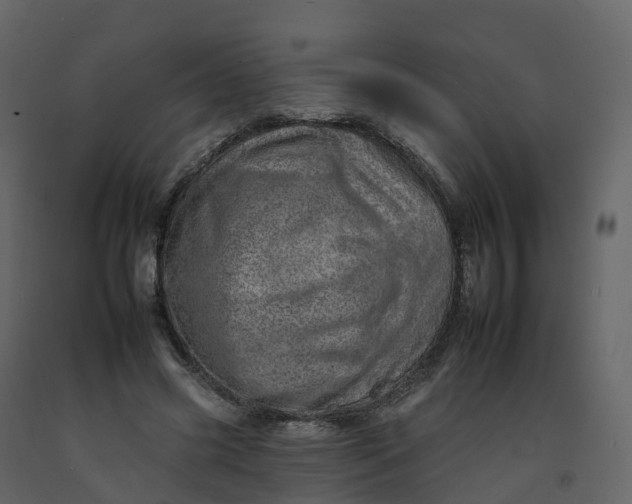 X0000092260541200710051321