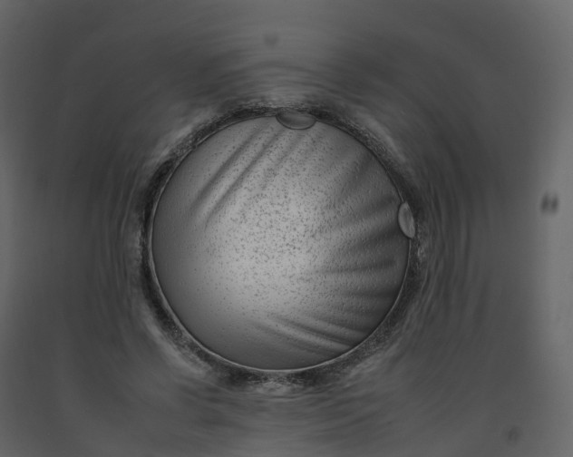 X0000092260542200710051321