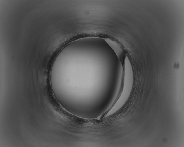 X0000092260544200710051321