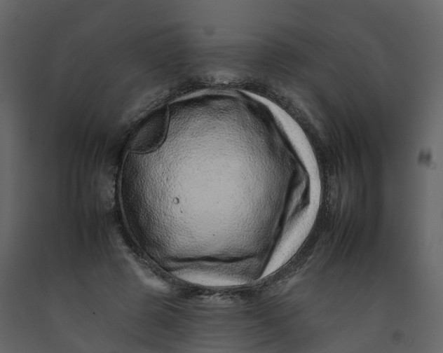 X0000092260545200710051321