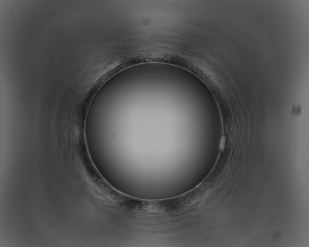 X0000092260546200710051321