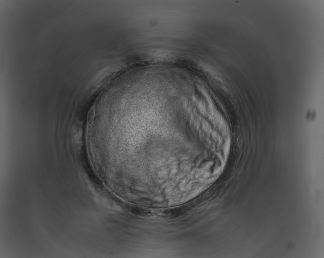 X0000092260550200710051321