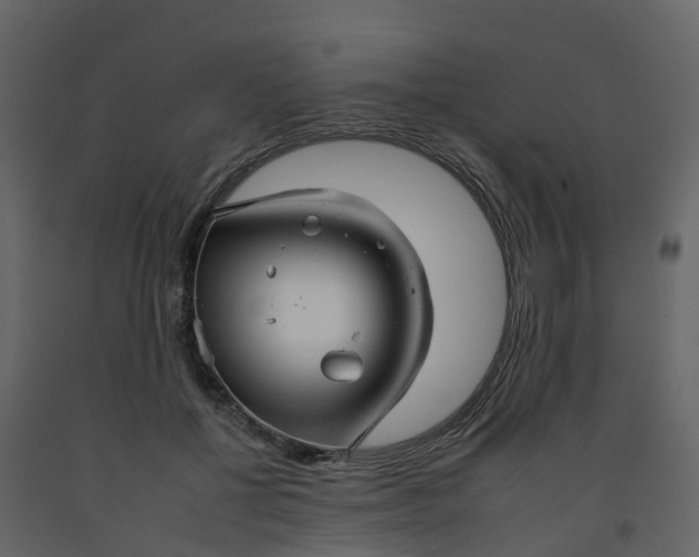 X0000092260552200710051321