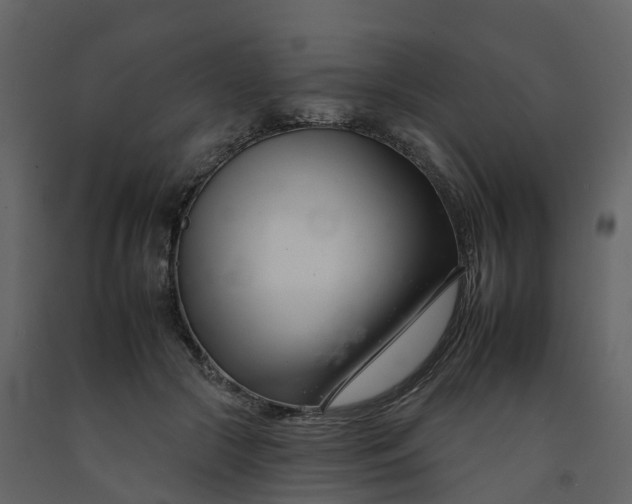 X0000092260553200710051321