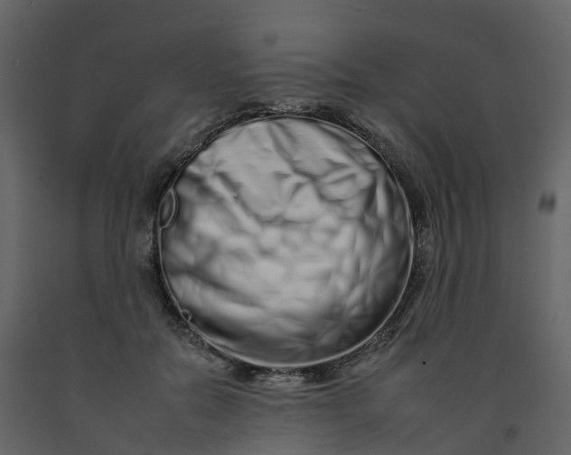 X0000092260554200710051321