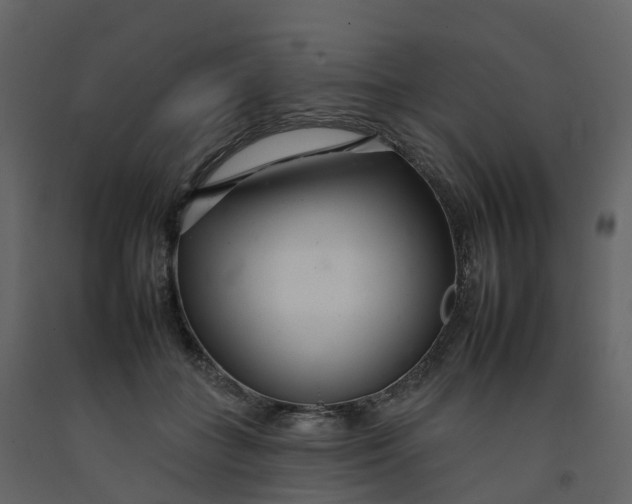 X0000092260555200710051321