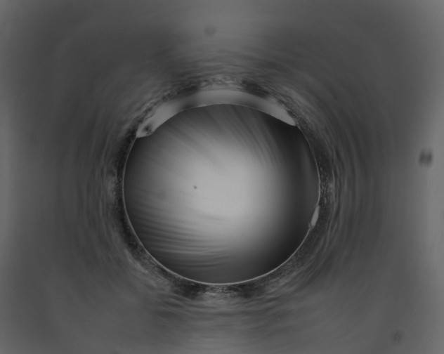 X0000092260556200710051321