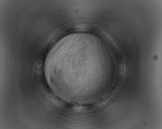 X0000092260557200710051321