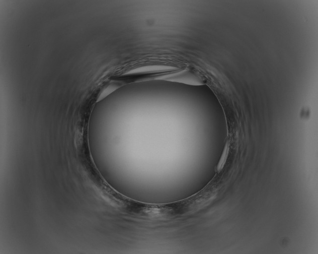 X0000092260558200710051321