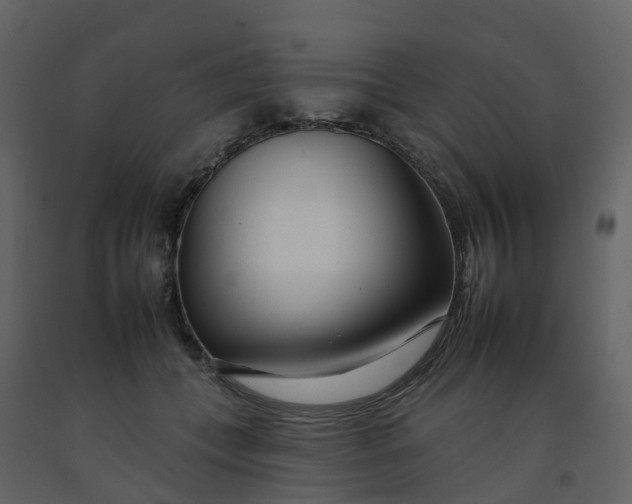 X0000092260559200710051321