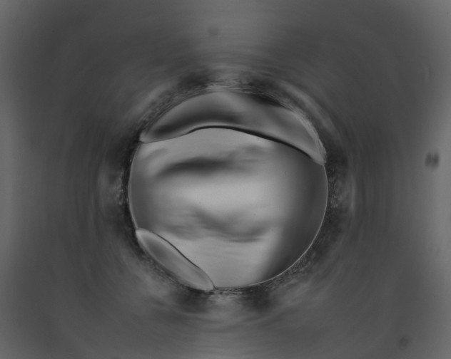 X0000092260560200710051321