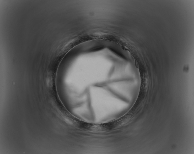 X0000092260562200710051321