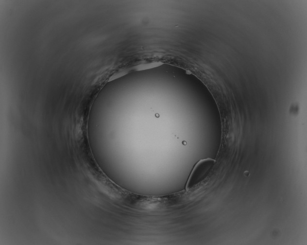 X0000092260563200710051321