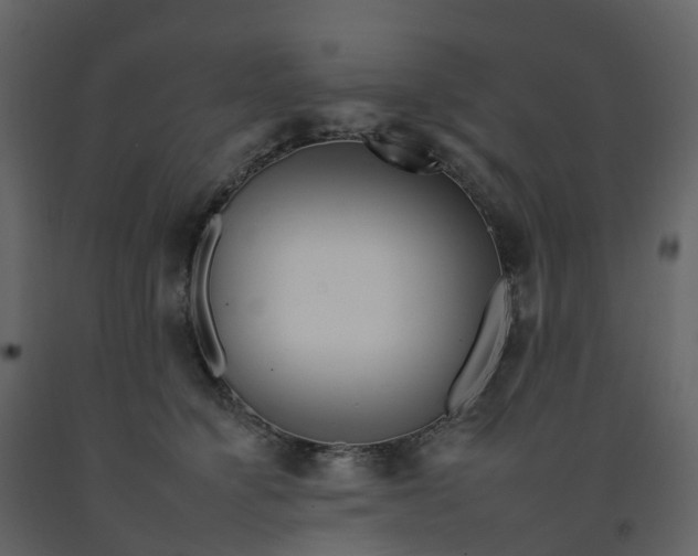 X0000092260564200710051321