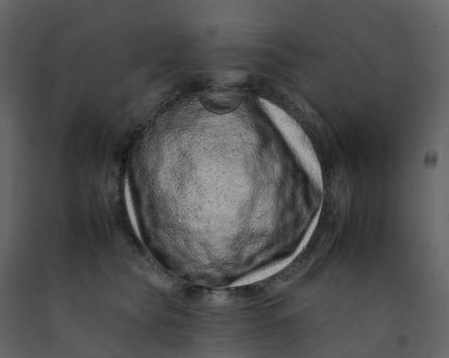 X0000092260565200710051321