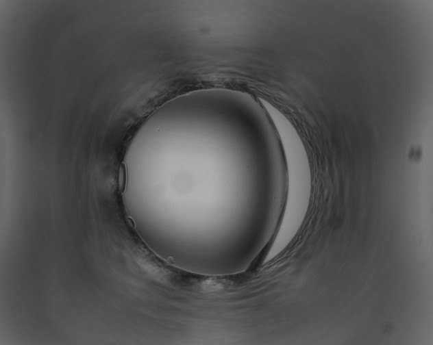 X0000092260566200710051321