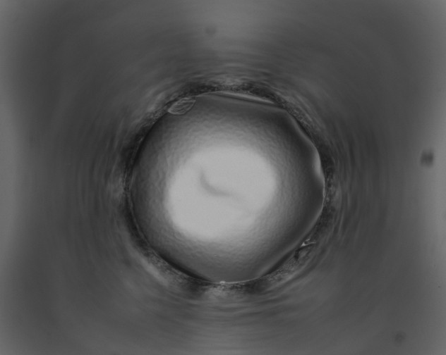 X0000092260568200710051321