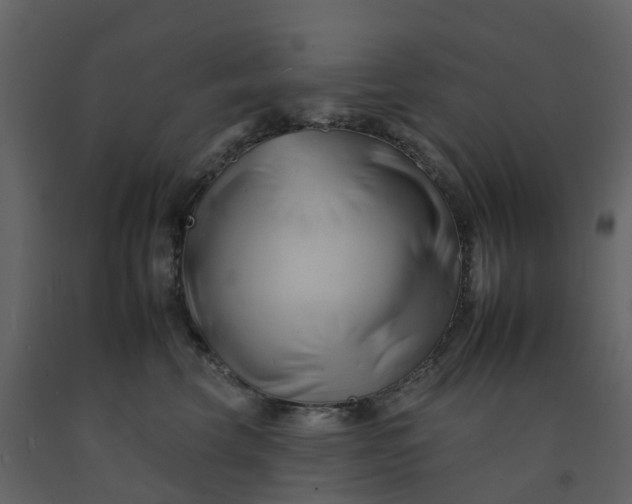 X0000092260569200710051321