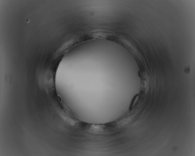 X0000092260573200710051321