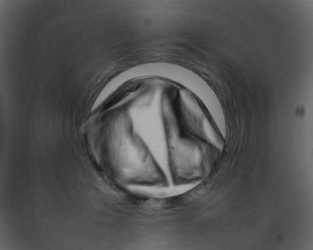 X0000092260574200710051322