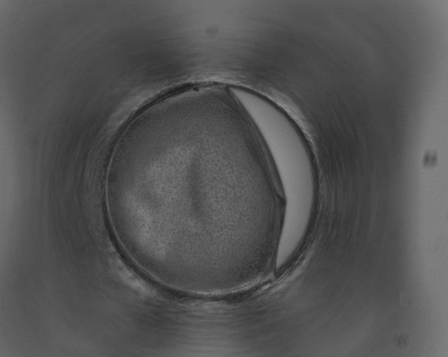 X0000092260577200710051321