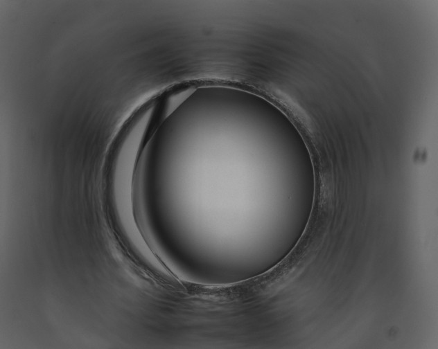 X0000092260580200710051321