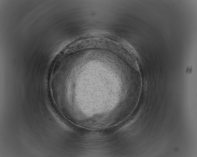 X0000092260581200710051321