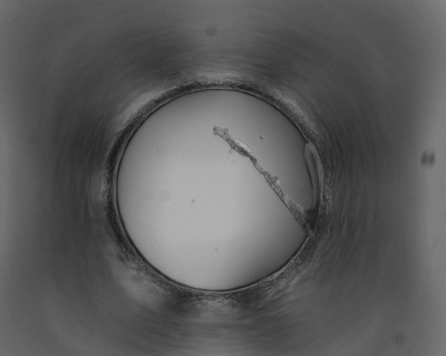 X0000092260583200710051321