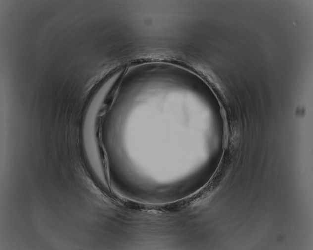 X0000092260585200710051321