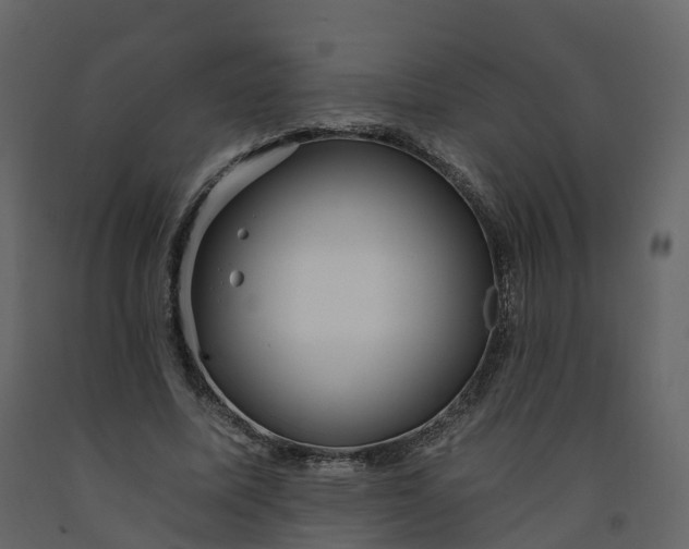 X0000092260587200710051321