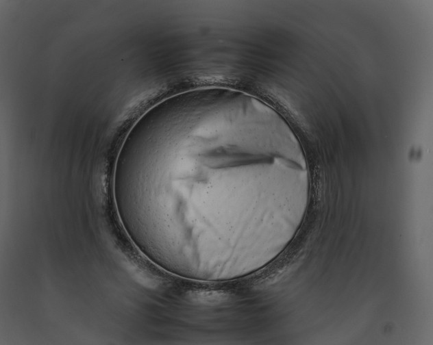 X0000092260590200710051321