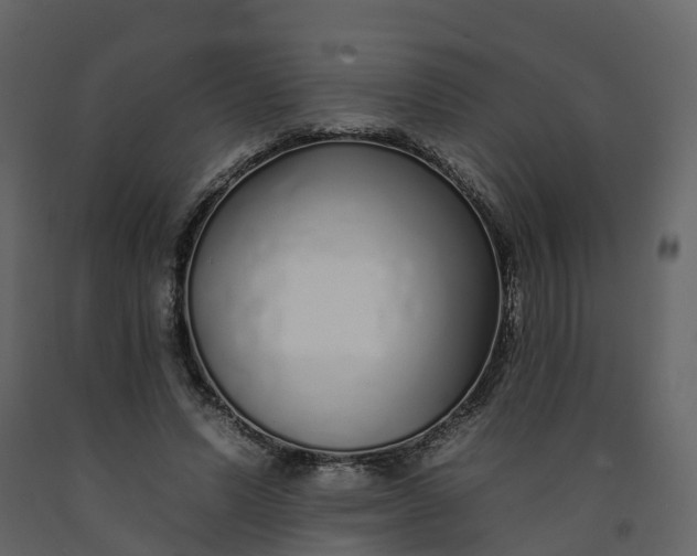 X0000092260591200710051321